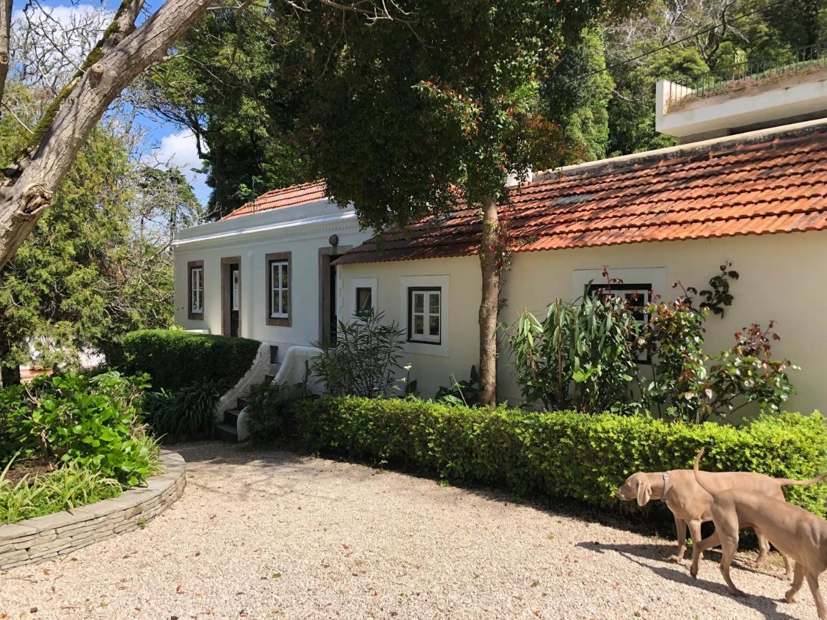 Luxurious Royal Estate In Historic Sintra Paradise Zewnętrze zdjęcie
