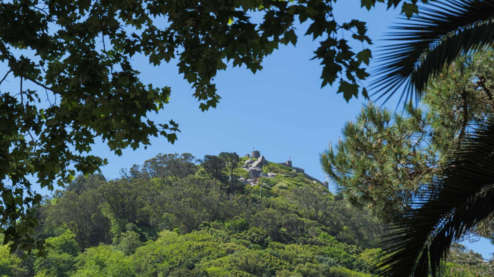 Luxurious Royal Estate In Historic Sintra Paradise Zewnętrze zdjęcie